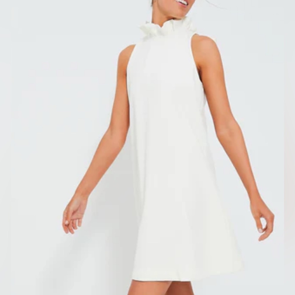 NWT Tuckernuck Blythe ruffle neck mini dress Ladies size small White NWT